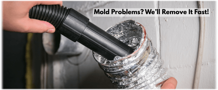 Air Duct Mold Removal in Auburn WA