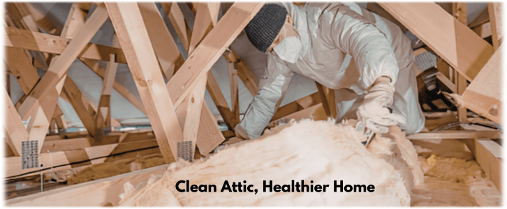 Attic Cleaning Auburn WA