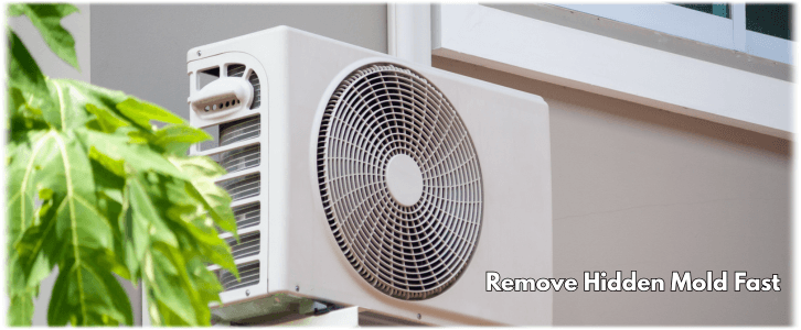 HVAC Mold Removal Auburn WA